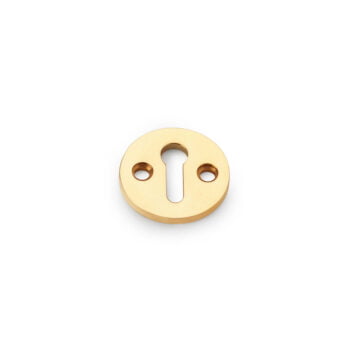 Gold keyhole escutcheon on white background.