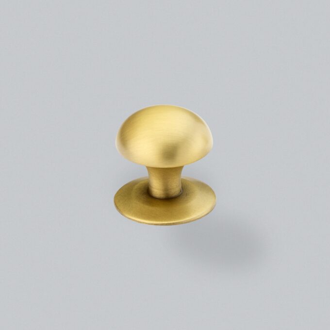 Brass cabinet knob on grey background.