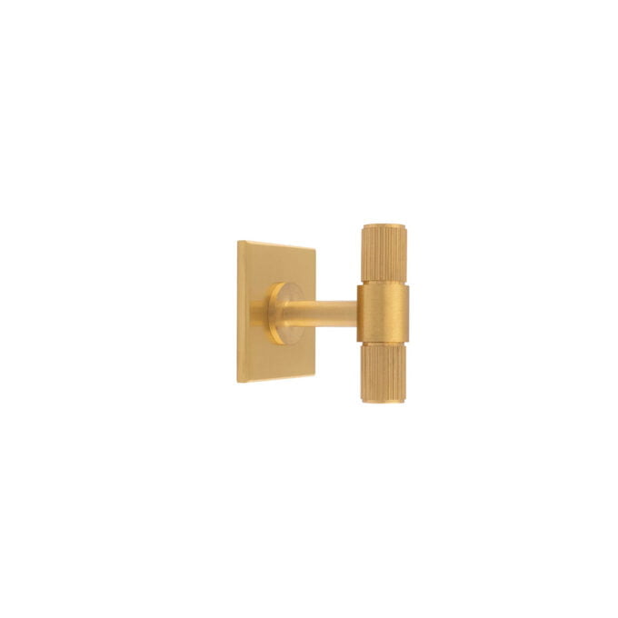 Lines T-Bar Knob on 40mm Backplate- Satin Brass