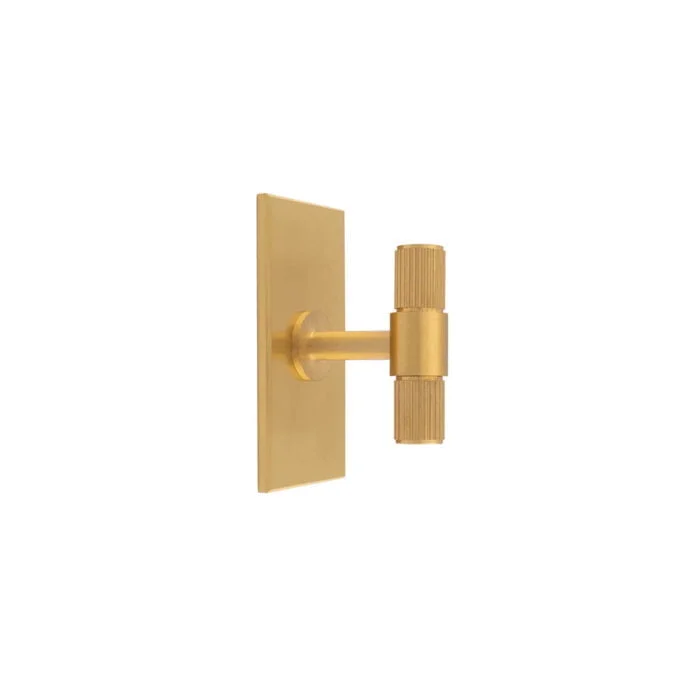 Lines T-Bar Knob on 76mm Backplate- Satin Brass