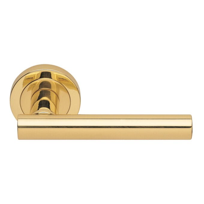 Polished gold door handle on circular mount