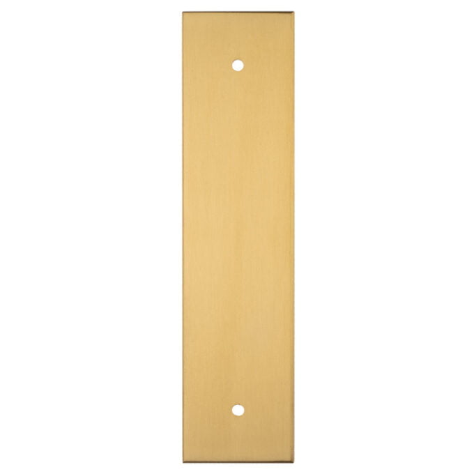 Brass flat metal plate with two holes.