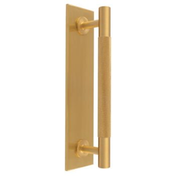 Gold door handle on vertical backplate, textured grip.