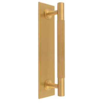 Gold modern vertical door handle on plate