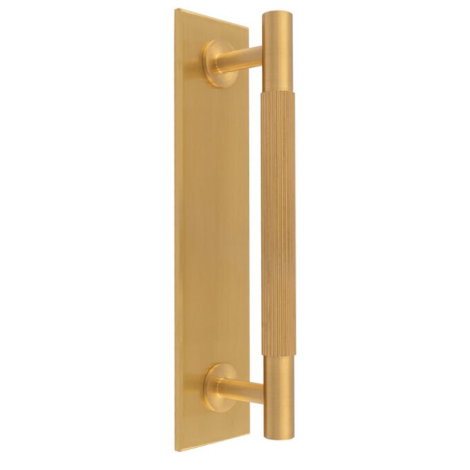 Gold door handle on vertical backplate with textured grip.