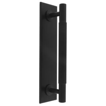 Black vertical door handle on rectangular backplate.