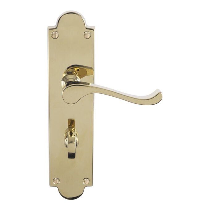 Polished brass door handle on decorative backplate.