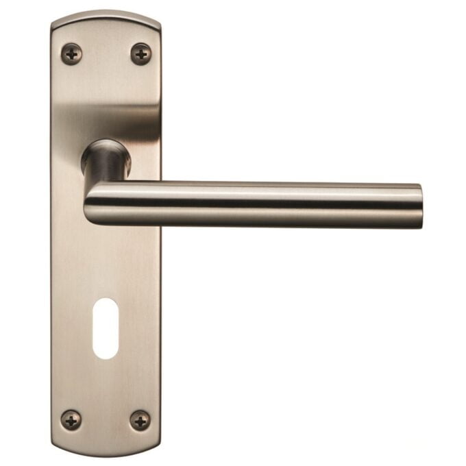 Brushed nickel lever door handle on backplate