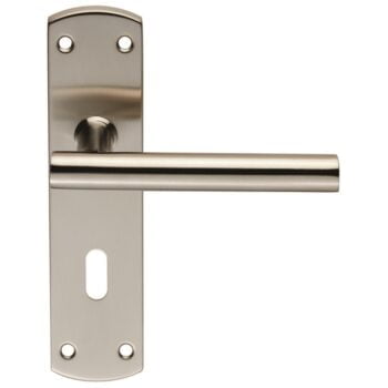 Satin nickel lever door handle on backplate.
